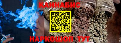 молекула духа Будённовск