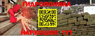 молекула духа Будённовск