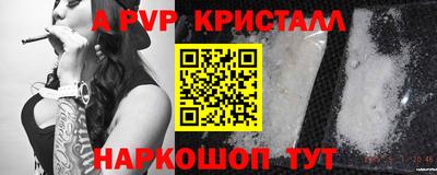 молекула духа Будённовск