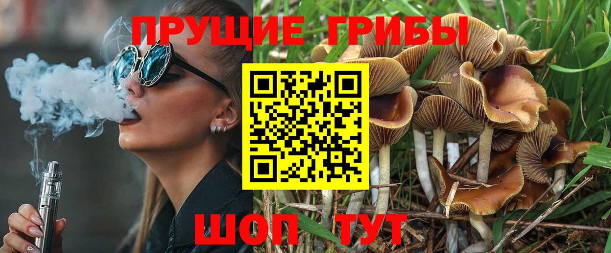 Лангепас  Псилоцибиновые грибы GOLDEN TEACHER  Вход с VPN 