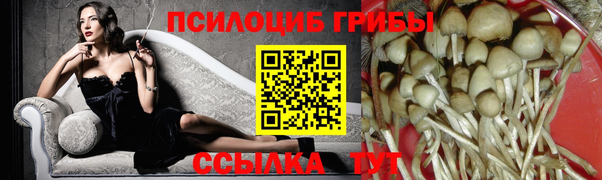 Псилоцибиновые грибы GOLDEN TEACHER Лангепас